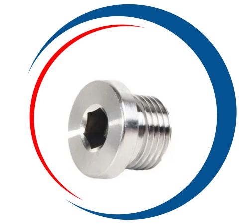 SS Blanking Plug Threaded In UAE