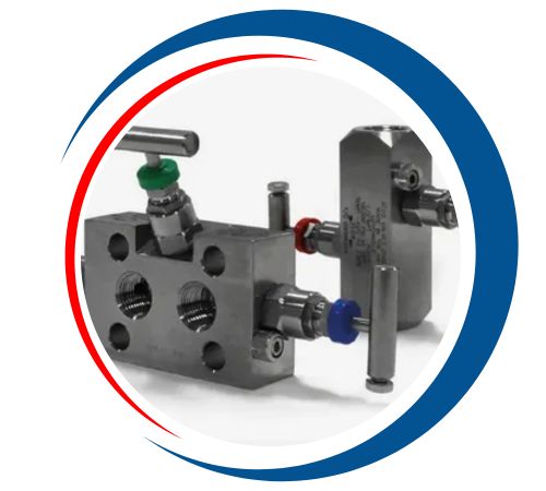 Duplex Instrumentation Valves In UAE